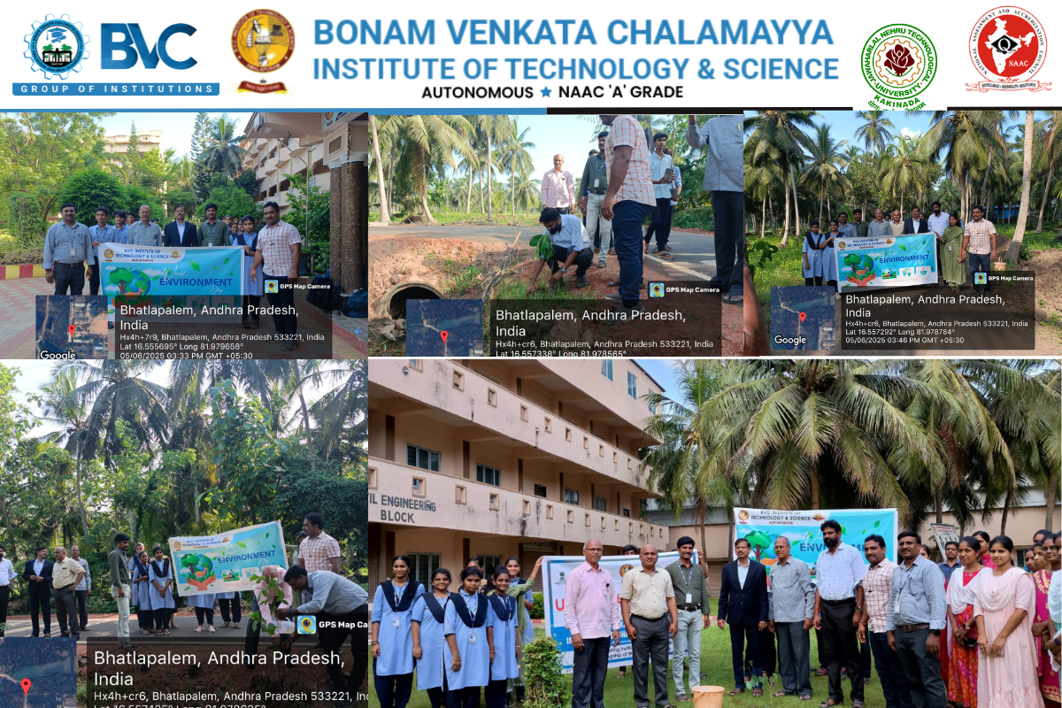 BVC (13)